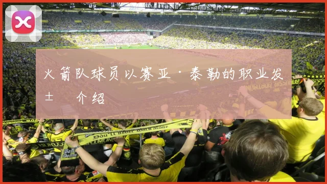 火箭队球员以赛亚·泰勒的职业发展介绍